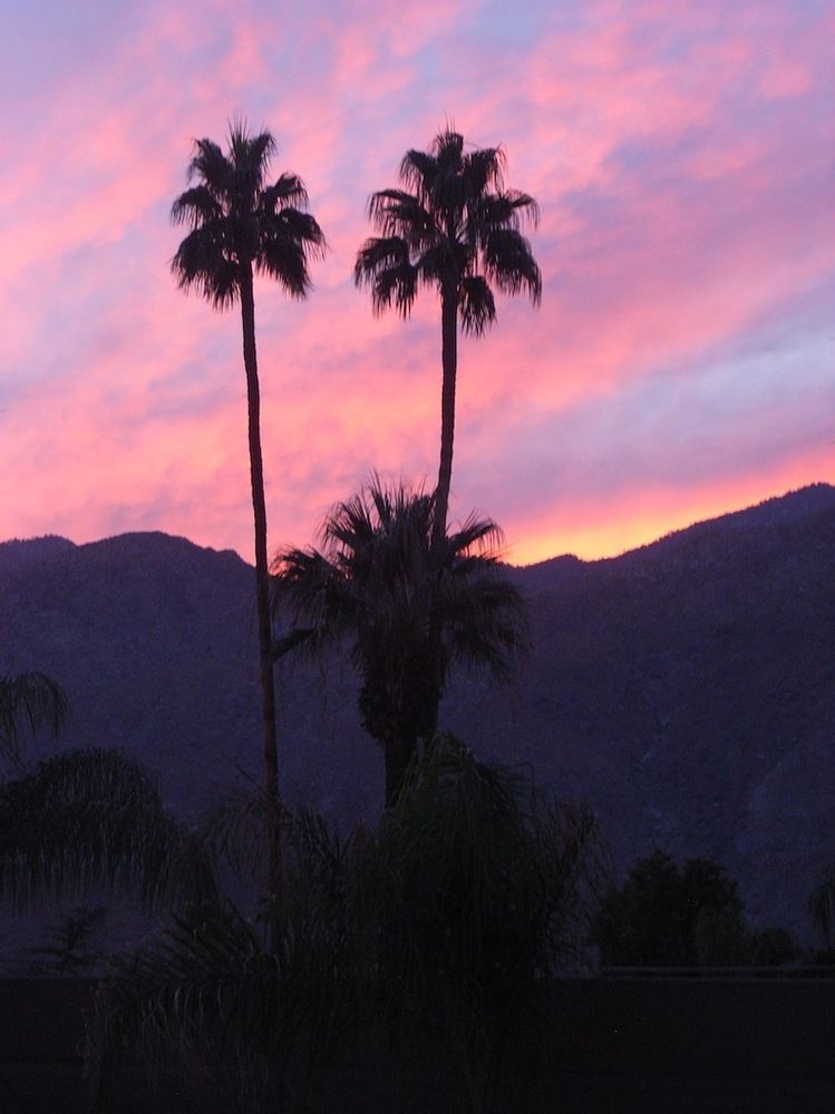 Avance Hotel Palm Springs Zewnętrze zdjęcie